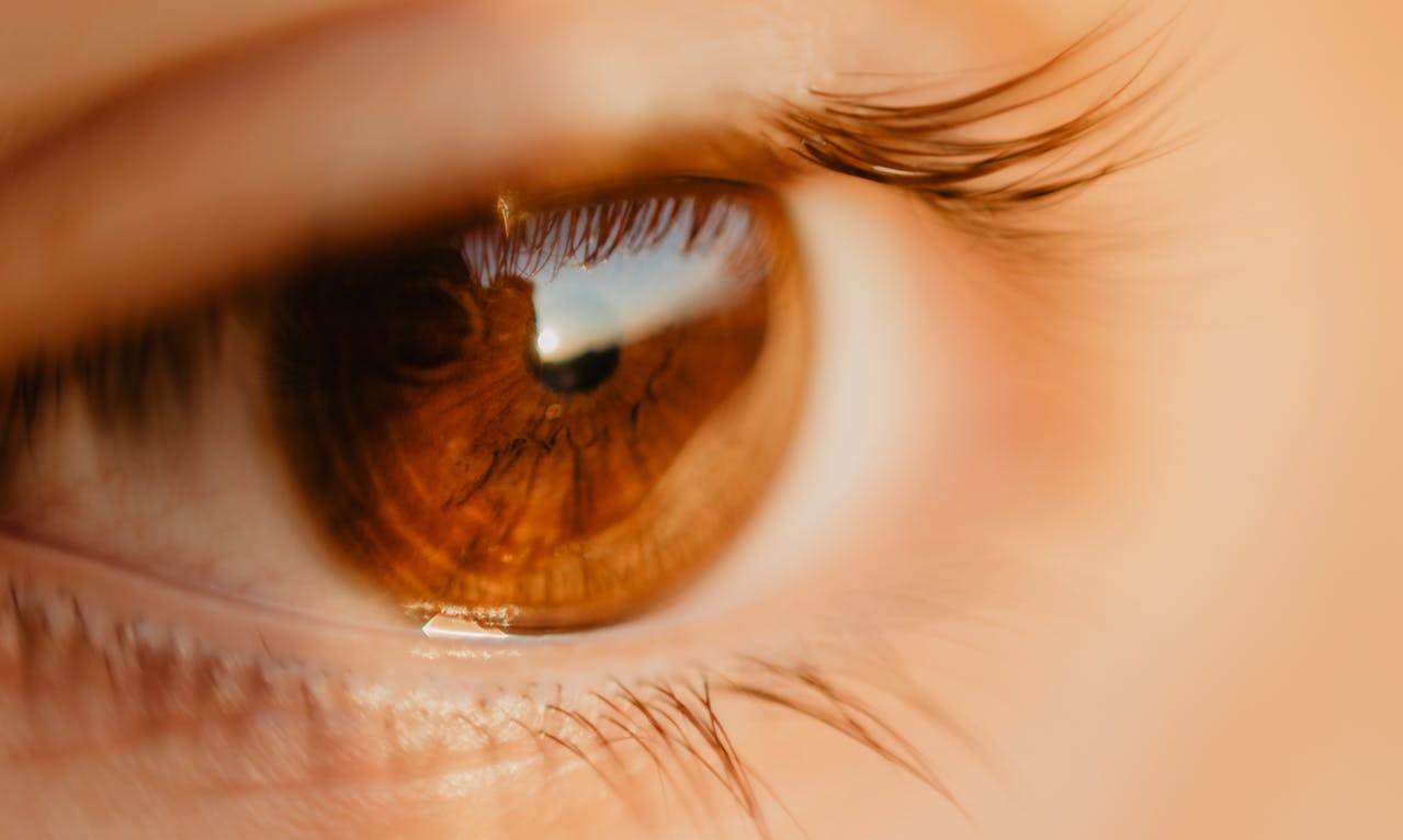 Pratiques narratives : l'oeil d'amour